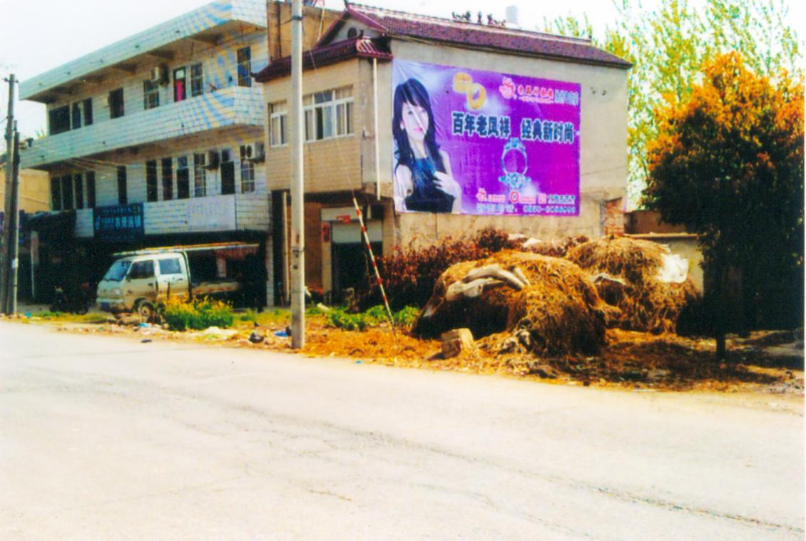 image00138