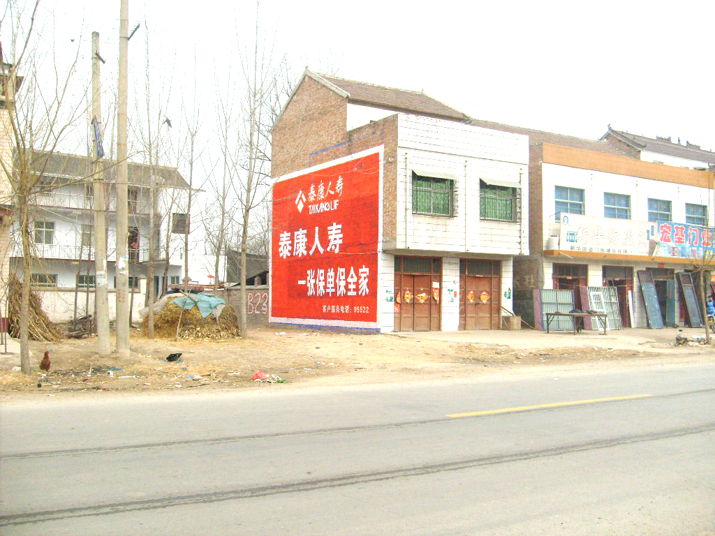 泰康人壽1.JPG